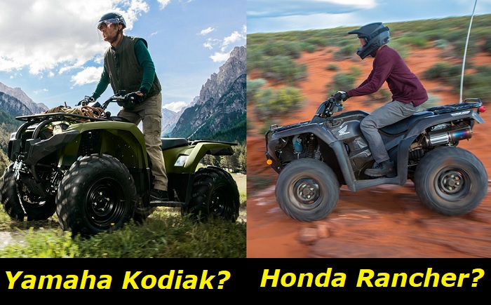 kodiak vs rancher atvs